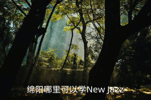 绵阳哪里可以学New Jazz