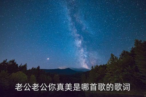老公老公你真美是哪首歌的歌词