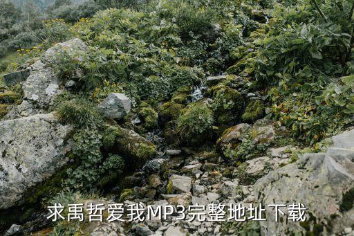 求禹哲爱我MP3完整地址下载
