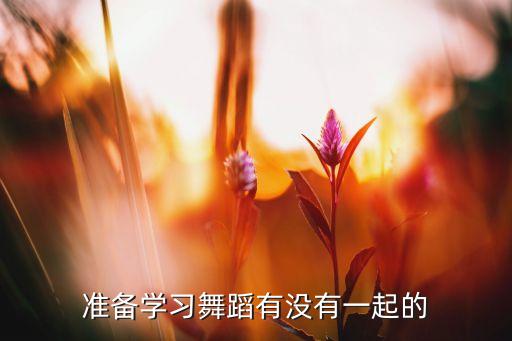 准备学习舞蹈有没有一起的