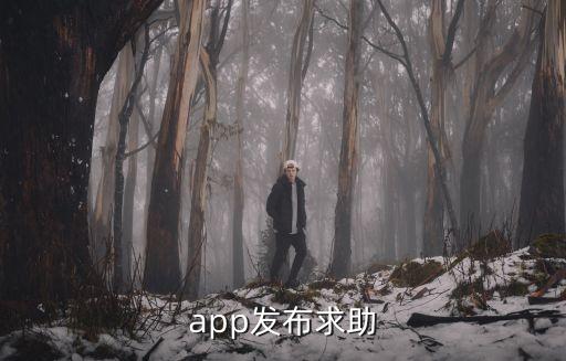 app发布求助
