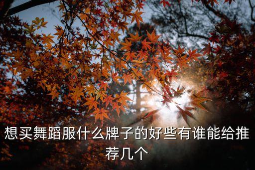 想买舞蹈服什么牌子的好些有谁能给推荐几个