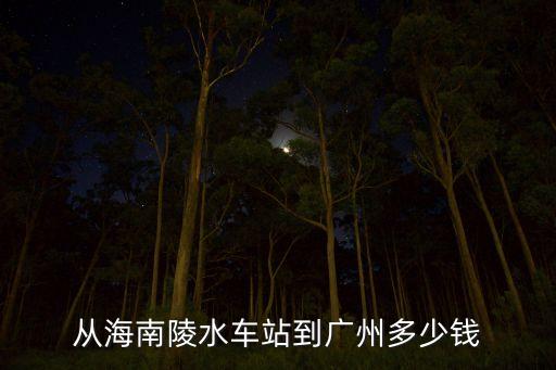 从海南陵水车站到广州多少钱