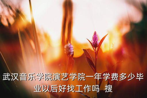 武汉音乐学院演艺学院一年学费多少毕业以后好找工作吗  搜