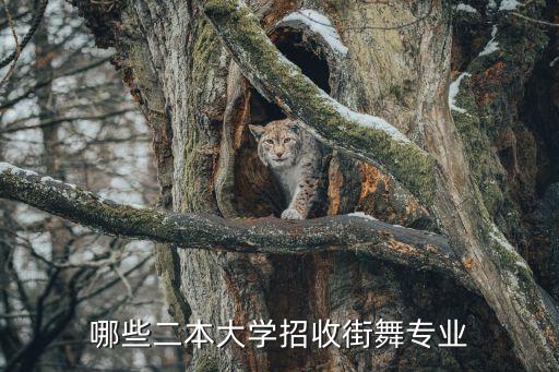 舞蹈专业二本，2013年四川有音乐舞蹈专业的二本的大学有哪些好