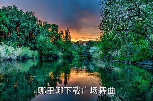 哪里哪下载广场舞曲