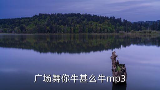 dj牛什么牛广场舞系列，广场舞你牛甚么牛mp3
