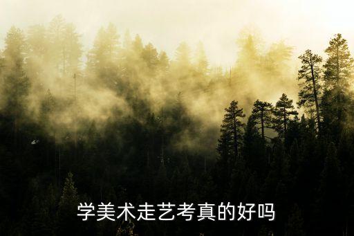 高中走美术艺考到底好不好，学美术走艺考真的好吗