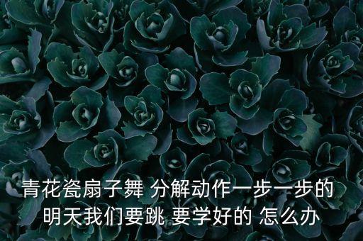 如何跳好扇子舞，青花瓷扇子舞 分解动作一步一步的 明天我们要跳 要学好的 怎么办