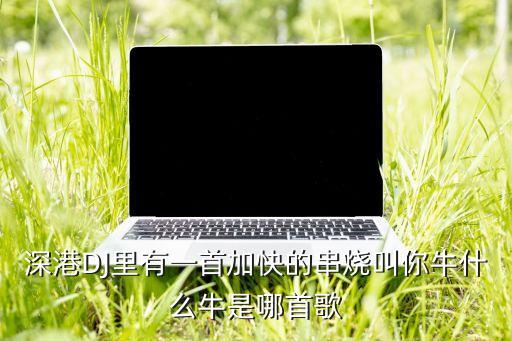 深港DJ里有一首加快的串烧叫你牛什么牛是哪首歌