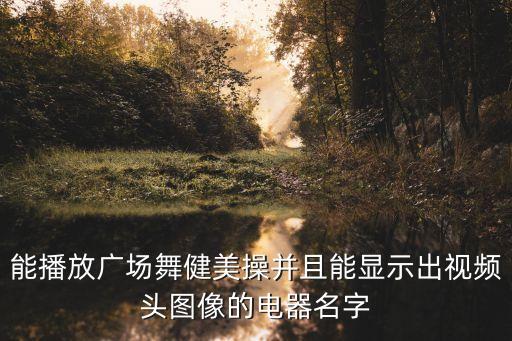 放广场舞场舞的小东西叫什么，能播放广场舞健美操并且能显示出视频头图像的电器名字