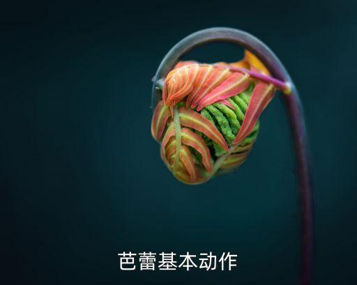 芭蕾舞12个基本动作图解，学芭蕾舞的基础舞步