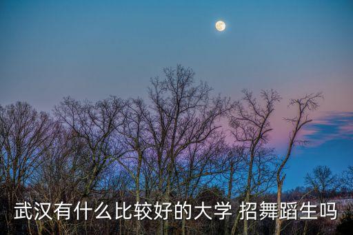 武汉有什么比较好的大学 招舞蹈生吗