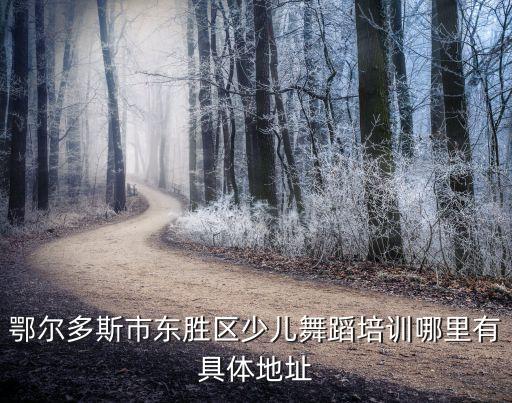 鄂尔多斯市东胜区少儿舞蹈培训哪里有具体地址