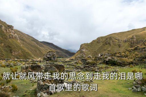 我风带走是什么歌曲，有一个叫什么歌 的