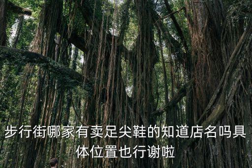 哪里有卖软底足尖鞋，软底足球鞋哪有卖的