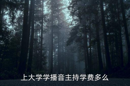 上大学学播音主持学费多么