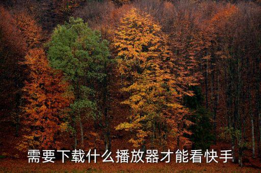 需要下载什么播放器才能看快手