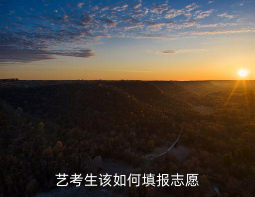 艺考舞蹈生怎样填报志愿，艺考生怎么填报志愿