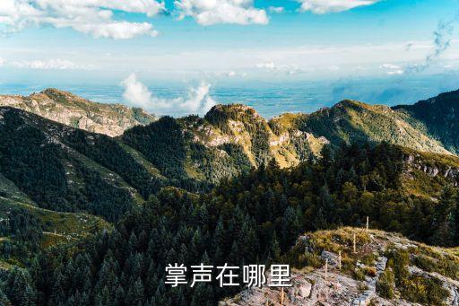 掌声在哪里