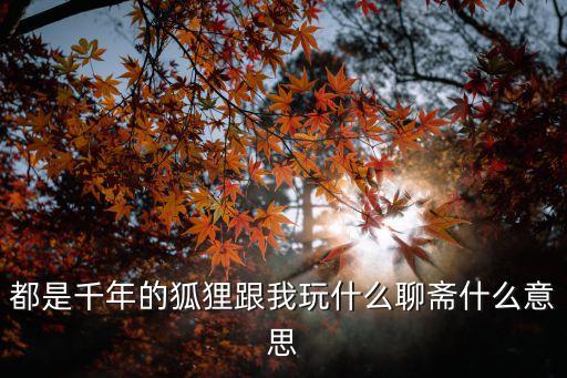 都是狐狸玩什么聊斋，都是千年的狐狸跟我玩什么聊斋什么意思