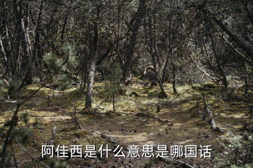 阿佳西是什么意思是哪国话
