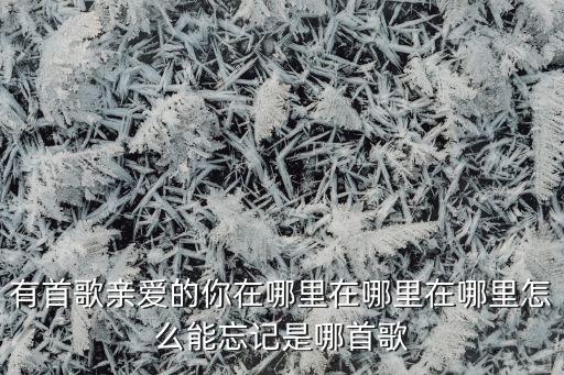 有首歌亲爱的你在哪里在哪里在哪里怎么能忘记是哪首歌