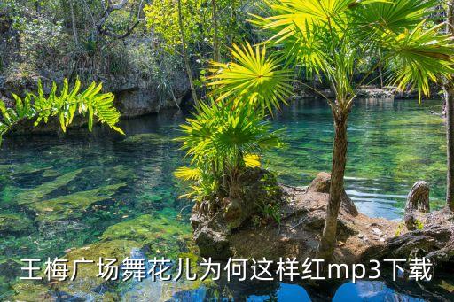花儿为什么这样红广场舞mp3，王梅广场舞花儿为何这样红mp3下载