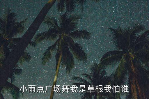 小雨点广场舞我是草根我怕谁