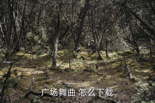 广场舞曲 怎么下载