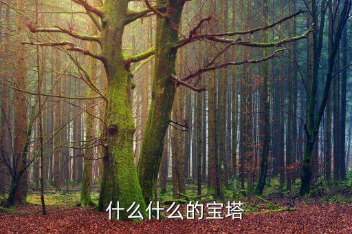 什么什么的宝塔