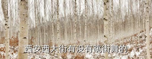 陕西热门舞在哪个广场，西安晚上有什么好点的表演的地方