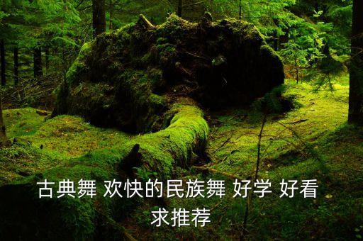 古典舞 欢快的民族舞 好学 好看 求推荐