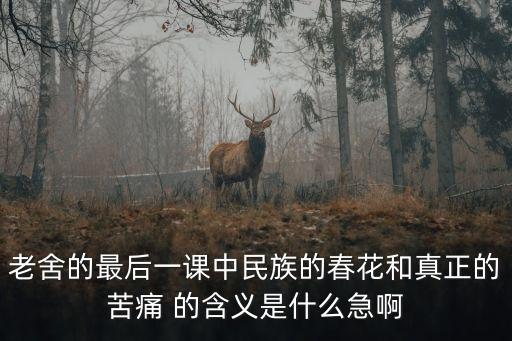 老舍的最后一课中民族的春花和真正的苦痛 的含义是什么急啊