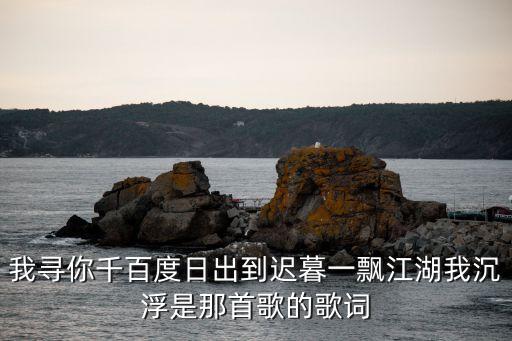 我寻你千百度是什么歌，我寻你千百度日出到迟暮一飘江湖我沉浮是那首歌的歌词