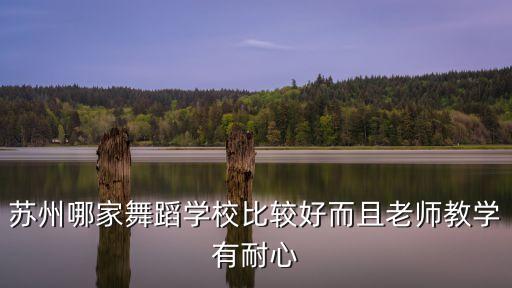 苏州哪家舞蹈学校比较好而且老师教学有耐心