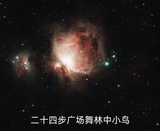 二十四步广场舞林中小鸟