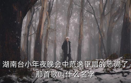 湖南台小年夜晚会中范逸臣唱的忘词了那首歌叫什么名字