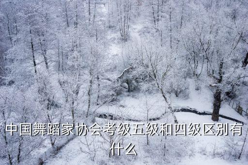 中国体育舞蹈协会多少级，中国舞蹈家协会考级五级和四级区别有什么