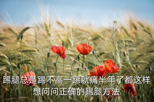 踢腿总是踢不高一踢就痛半年了都这样想问问正确的踢腿方法
