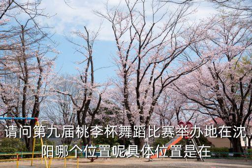 请问第九届桃李杯舞蹈比赛举办地在沈阳哪个位置呢具体位置是在