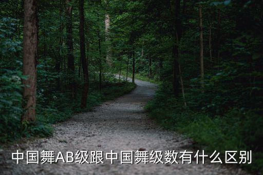 中国舞AB级跟中国舞级数有什么区别