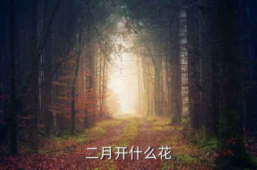 二月开什么花