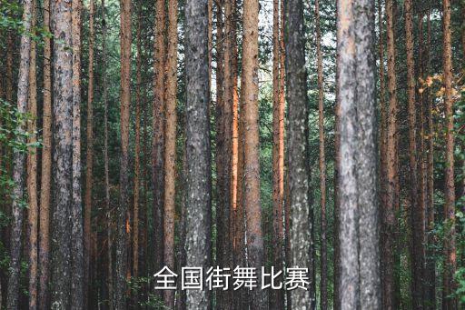 全国街舞比赛