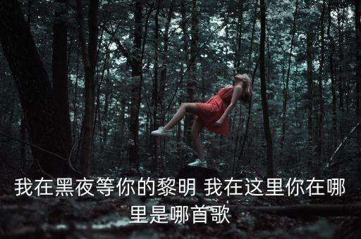 我在黑夜等你的黎明 我在这里你在哪里是哪首歌
