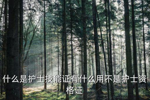 什么是护士技能证有什么用不是护士资格证