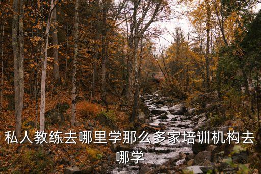 私人教练去哪里学那么多家培训机构去哪学