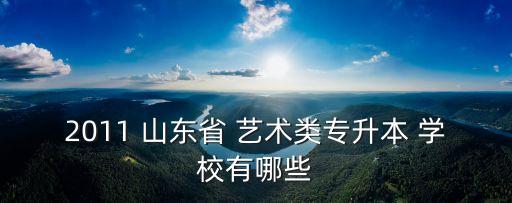 山东省舞蹈本科学校有哪些，2011 山东省 艺术类专升本 学校有哪些