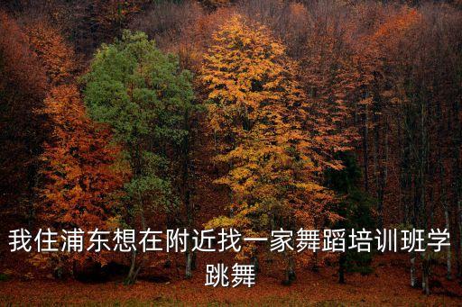 我住浦东想在附近找一家舞蹈培训班学跳舞
