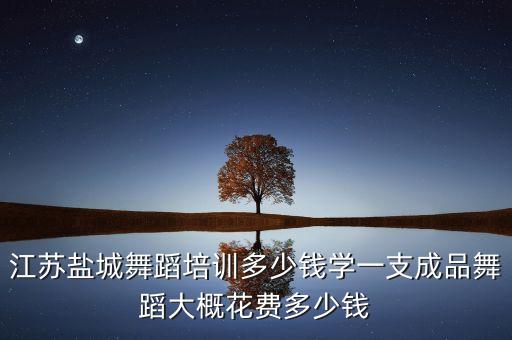 江苏盐城舞蹈培训多少钱学一支成品舞蹈大概花费多少钱